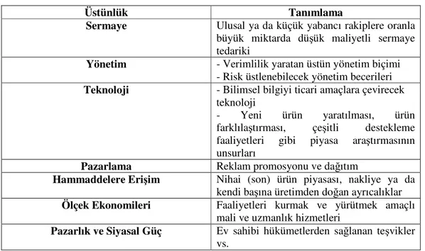 Çizelge 5: Doğrudan Yabancı Sermaye Yatırımlarını Ortaya Çıkaran                     Tekelci Üstünlükler  