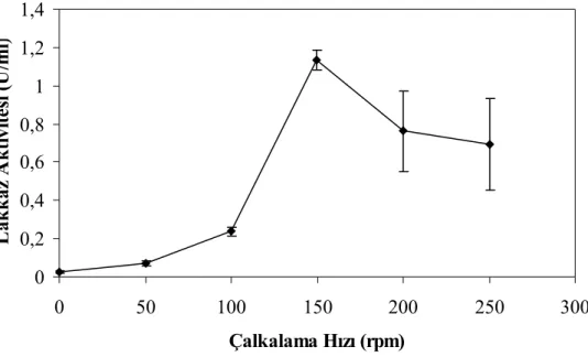 Şekil 4.8. Çalkalama hızının vinas ortamında inkübe edilen F. trogii peletlerinin lakkaz  üretimine etkisi 