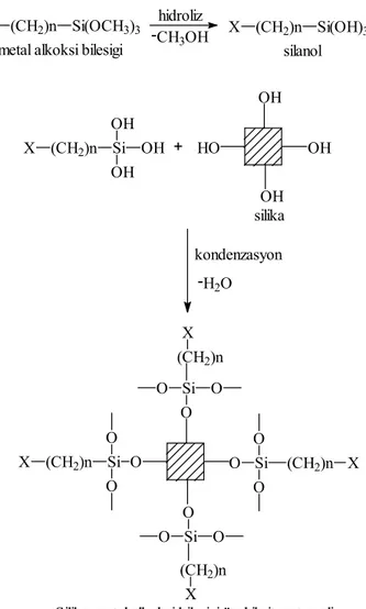 Şekil 1.18. Silika-metal alkoksit bileşiği ile ön hibrit malzemenin hazırlanması. 