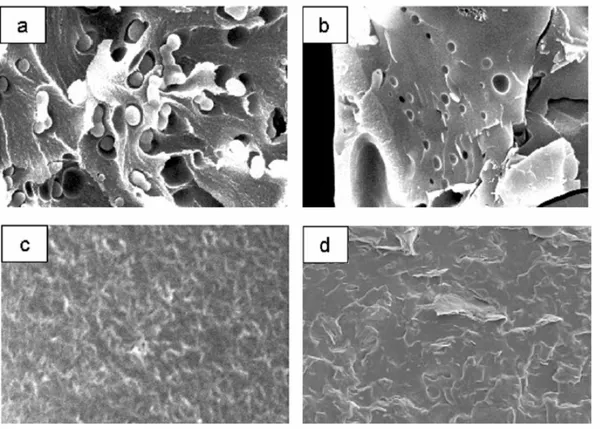 Şekil 1.20. PI-Hibritlerine ait SEM görüntüleri. A) PI-silika, b) PI-TiO 2 , c)PI-silika-