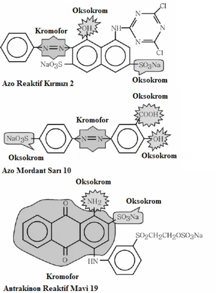 Şekil 1.3. Azo ve antrakinon boyalarda boya-oksokrom ve –kromofor grup örneklerinin  gösterimi 