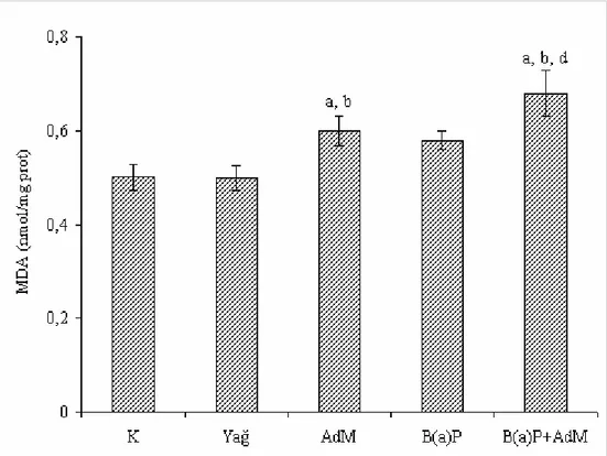 Şekil 4.4. Akciğer dokusundaki MDA seviyesindeki değişimler  a  Kontrol grubuna,  b  Yağ  grubuna,  d  B(a)P grubuna göre değişimler  istatistiksel  olarak  önemlidir      ( a,b,d  p&lt;0.05) 