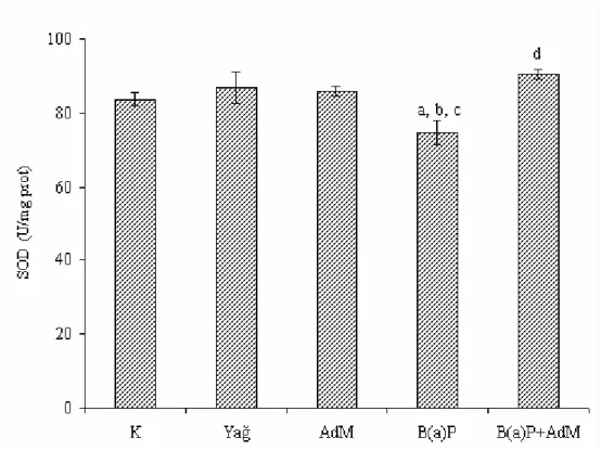 Şekil 4.5. Kalp dokusundaki SOD enzim aktivitelerindeki değişimler  a  Kontrol grubuna,  b  Yağ grubuna,  c  AdM grubuna,  d  B(a)P grubuna göre değişimler istatistiksel  olarak önemlidir ( a,b,c,d  p&lt;0.05) 