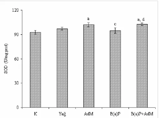 Şekil 4.8. Akciğer dokusundaki SOD enzim aktivitelerindeki değişimler  a  Kontrol  grubuna,  c  AdM grubuna,  d  B(a)P grubuna göre değişimler istatistiksel olarak  önemlidir ( a,c,d  p&lt;0.05) 