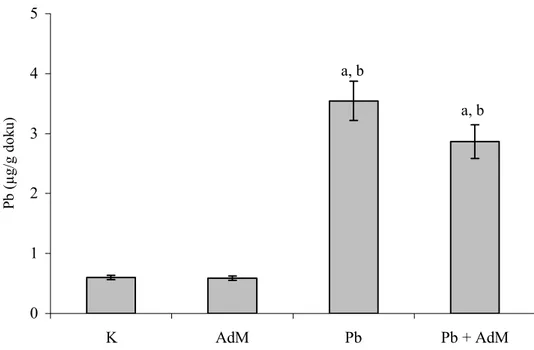 Şekil 4.1. Karaciğer dokusunda Pb seviyelerindeki değişimler,  a  K grubuna,  b  AdM                    grubuna göre  değişimler istatistiksel olarak önemlidir ( a,b p&lt; 0.05) 