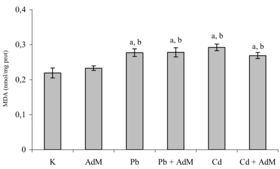 Şekil 4.7. Böbrek dokusundaki MDA seviyeleri,  a  K grubuna,  b  AdM grubuna göre                    değişimler istatistiksel olarak önemlidir ( a,b p&lt; 0.05) 