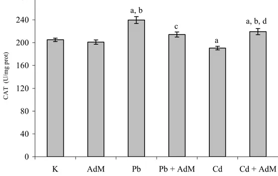 Şekil 4.9. Karaciğer dokusundaki CAT enzim aktivitelerindeki değişimler,  a  K grubuna,                    b   AdM  grubuna,  c   Pb  grubuna,  d   Cd  grubuna  göre  değişimler  istatistiksel                    olarak önemlidir ( a,b,c,d p&lt; 0.05) 