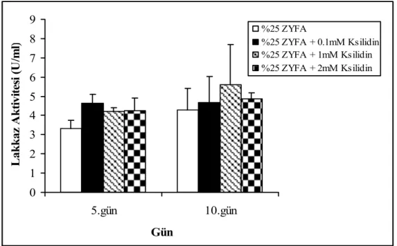Şekil 4.14. F. trogii’ nin ksilidin içeren %25’ lik ZYFA ile nemlendirilmiş katı                       ortamlarda üretimi sürecinde lakkaz aktivitesi 