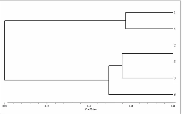 Şekil 4.5. Karakaya Baraj Gölü zooplanktonik taksonlara göre örnekleme noktalarının (ist.1- (ist.1-ist.6) UPGMA analiz dendogramına göre benzerlik dağılımı 