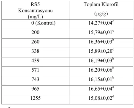 Çizelge 4.2 RS5 uygulanan bitki gruplarında toplam klorofil miktarları ve istatistiksel                     değerlendirilmesi    (a.b.c.d.e:  her sütunda farklı harfle  gösterilen 