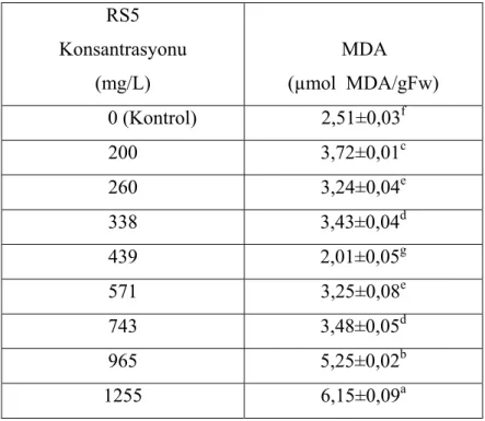 Çizelge 4.5   RS5  uygulanan  bitki  gruplarında  MDA   içeriği ve  istatistiksel  olarak                         değerlendirilmesi (a.b.c.d.e.f.g; her sütunda farklı harfle gösterilen rakamlar                         istatistiksel olarak birbirinden farkl