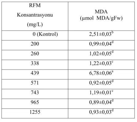 Çizelge 4.6  RFM uygulanan  bitki  gruplarında  MDA  içeriğinin  istatistiksel  olarak                        değerlendirilmesi   (a.b.c.d; her sütunda farklı harfle gösterilen rakamlar                        istatistiksel olarak birbirinden farklıdır (p&l