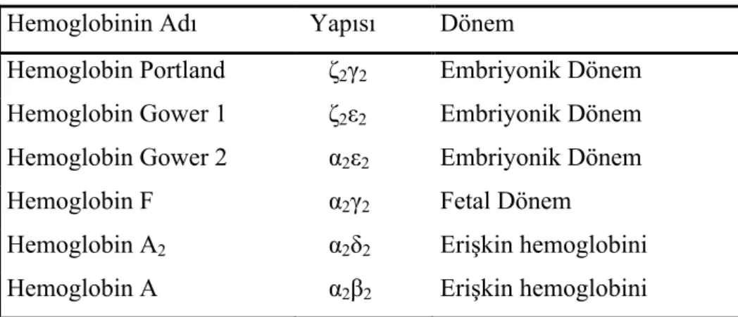 Çizelge 2.1 Hemoglobin Tipleri