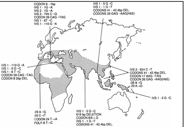Şekil 2.4 Beta talasemi mutasyonlarının dünyadaki yayılışı (1)