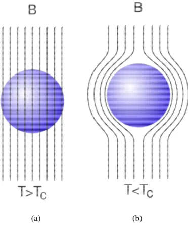Şekil  2.4. Meissner Etkisi     a) Normal Durum  b) Süperiletken Durum [18] 