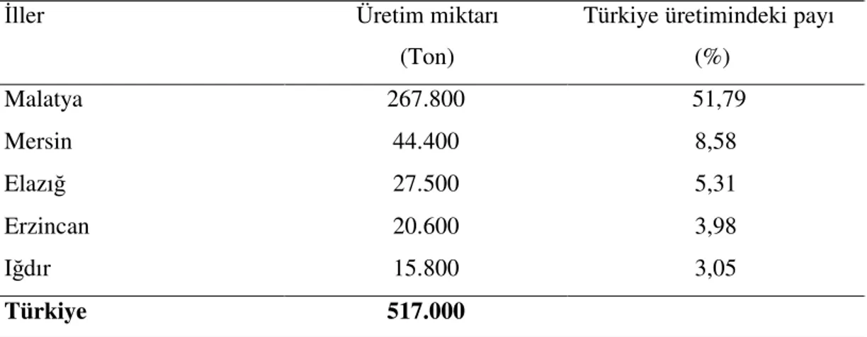Çizelge  1.2  1999  yılı  verilerine  göre  Türkiye  yaş  kayısı  üretimindeki  önemli  iller  ve  üretimdeki payları [4]