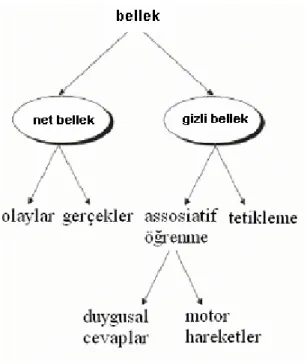 Şekil 4: Fizyolojik Çaıdan Belleğin sınıflandırılması. Robertson L., (1).