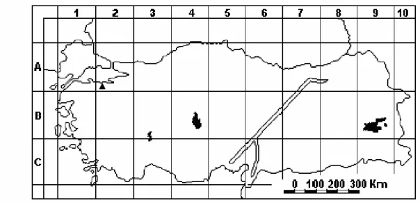 Şekil 4.11. A. multifida’nın (▲) Türkiye’deki yayılış haritası  
