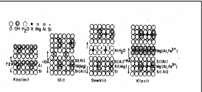 Şekil 2.2. Kaolinit, illit, smektit ve kloritin strüktür modeli ile bunların tabaka  arası açıklığı (X= silikat tabakaları arasında hidrate olmuş değişebilir katyonlar)