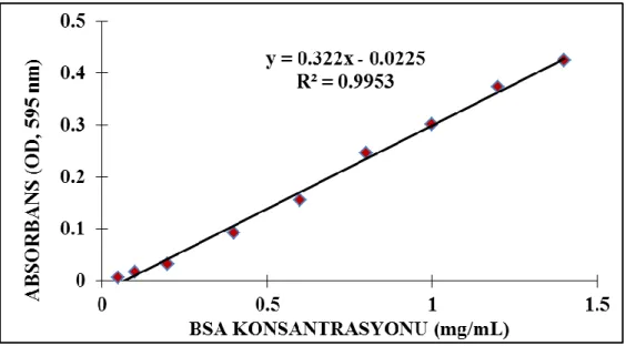 ġekil 3.3. BSA standart eğrisi. 