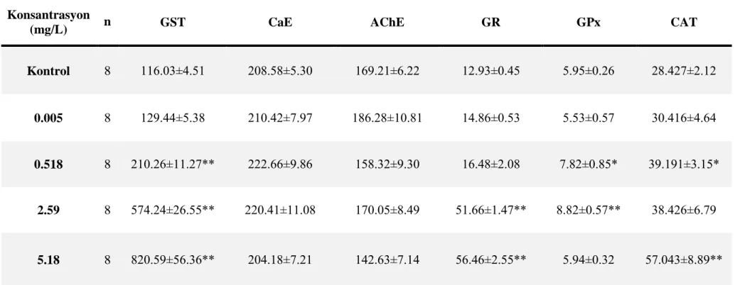 Çizelge 4.5. 96 saatlik Cd uygulamasının enzim aktiviteleri üzerine etkisi (nmol/dk/mg protein ± standart hata)