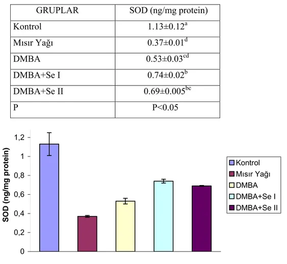 Çizelge 4.1. Grupların Karaciğer Dokusunda Ölçülen SOD Aktivitesi            GRUPLAR   SOD (ng/mg protein) 