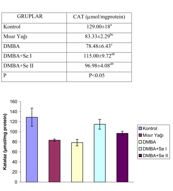 Çizelge 4.2. Grupların Karaciğer Dokusunda Ölçülen CAT Aktivitesi            GRUPLAR  CAT (µmol/mgprotein) 
