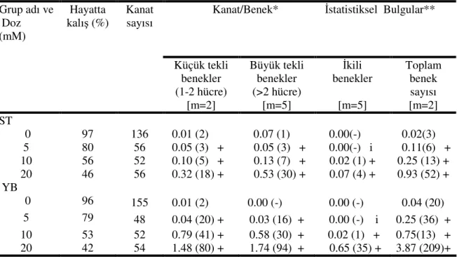 Çizelge 4.2: Üretan gruplarında Drosophila kanat somatik mutasyon ve rekombinasyon  testi  bulguları ve istatistik değerlendirmeler 