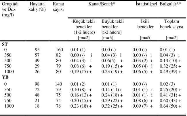 Çizelge 4.3.  Astrazon siyah boyasında Drosophila kanat somatik mutasyon ve  rekombinasyon testi  bulguları ve istatistik değerlendirmeler 