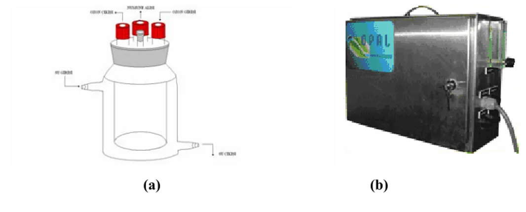Şekil 3. 1.  Deneyde kullanılan cam reaktör(a) ve ozon cihazı(b). 