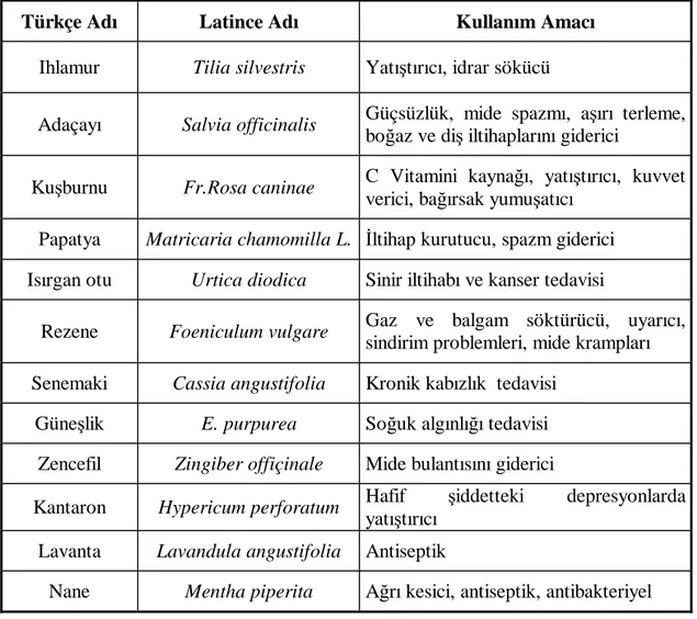 Çizelge 2. 1 Bazı şifalı bitkilerin Latince isimleri ve başlıca kullanım alanları 