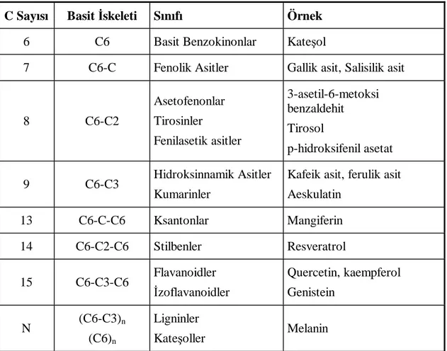 Çizelge 2. 3 Polifenollerin sınıflandırılması  