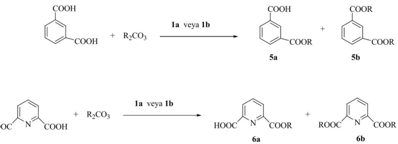 Çizelge 3.9 Aromatikdikarboksilik asitlerin difenil ve dietil karbonat ile etkileştirilmesi 