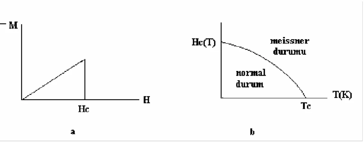 Şekil 2.3.  a) I.Tip süperiletkenlerin uygulanan dış manyetik alanla manyetizasyonun       değişimi, b) Uygulanan dış manyetik alanın sıcaklığa bağlılığı 