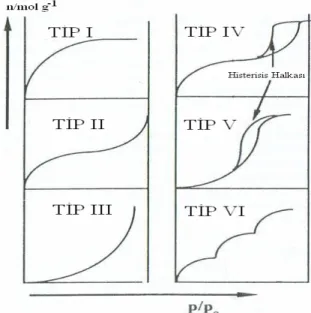 Şekil 2.2.  Adsorpsiyon izotermleri [1] 