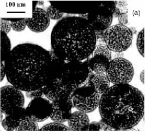 Şekil 1.4 Spray proliziz kullanılarak maghemit manyetik nano parçacıkların görüntüsü 