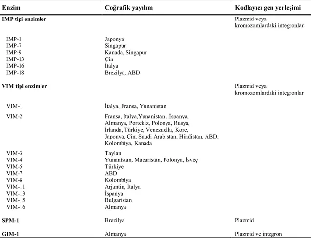 Tablo 5. P. aeruginosa’da bulunan MBL enzimleri[33] 