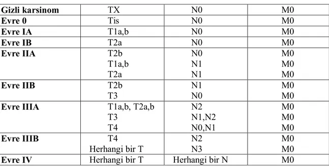 Tablo 4. TNM’ye göre evreleme (2009) [51] 