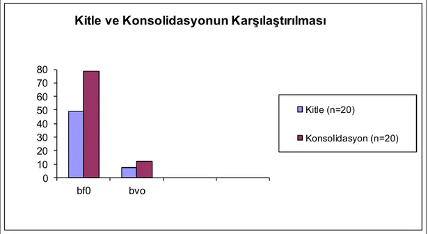 Şekil 7. Kitle ve konsolidasyona ait BFo ve BVo parametrelerinin karşılaştırılması 