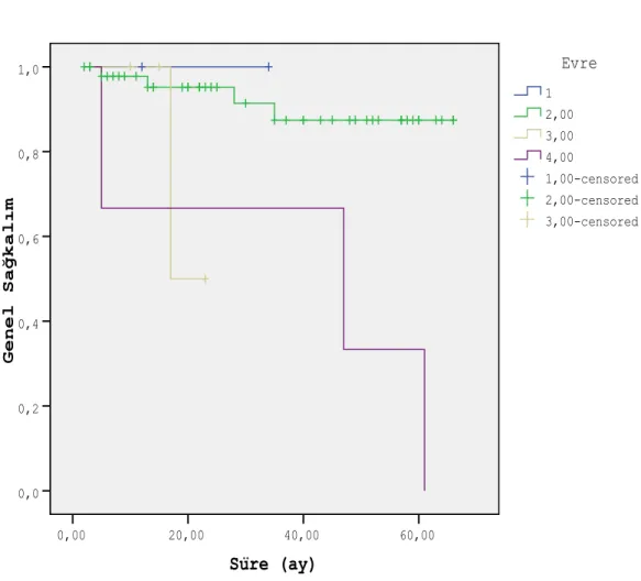 Şekil 6. Tümör evresine göre genel sağkalım (1: Evre I, 2: Evre II, 3: Evre III, 4: Evre  IV) 