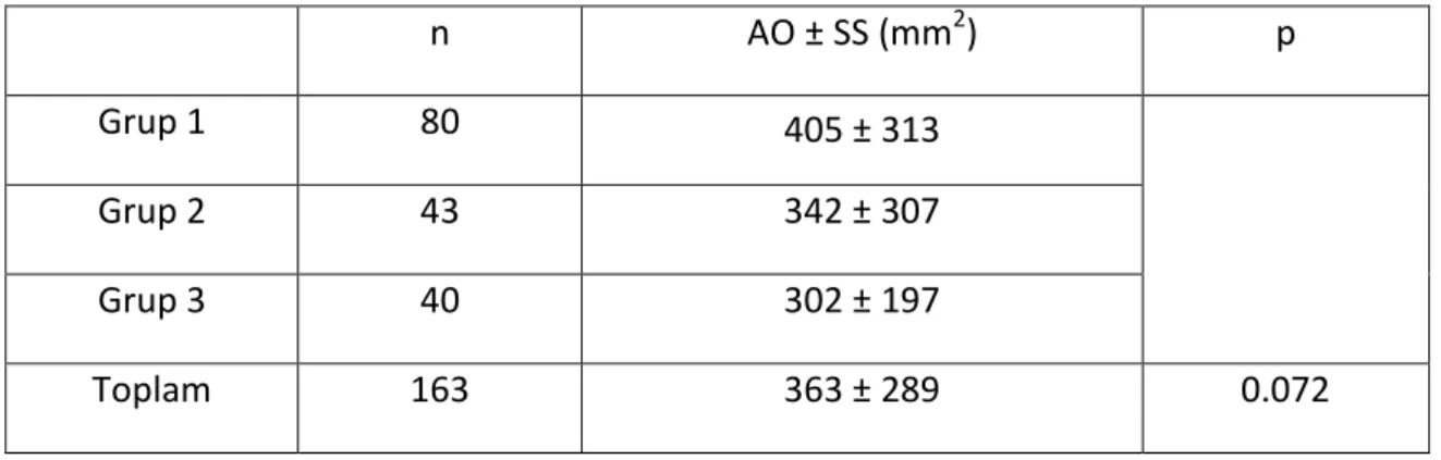 Tablo 2: Grupların ortalama taş yükleri ve standart sapmaları  n  AO ± SS (mm 2 )  p  Grup 1  80  405 ± 313   Grup 2  43  342 ± 307   Grup 3  40  302 ± 197   Toplam  163  363 ± 289   0.072 