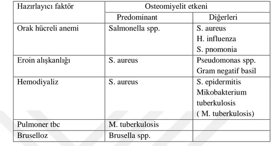 Tablo 3 Osteomiyelitte Etken Mikroorganizmanın Türü ile Altta Yatan Hastalıklar(21)  Hazırlayıcı faktör                    Osteomiyelit etkeni 