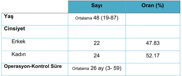Tablo 8: Hastaların Demografik Özellikleri 