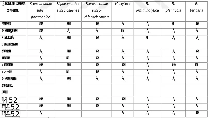 Tablo 2. Klebsiella ve Raoultella cinsi türler arası biyokimyasal farklılıklar
