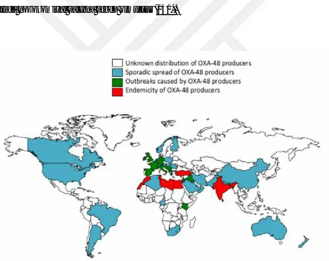 Şekil 8.OXA-48 üreten izolatların dünyada coğrafik dağılımı (108)