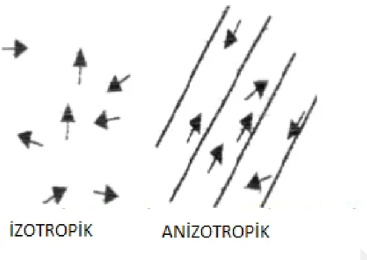 Şekil 7: İzotropik ve anizotropik difüzyon (70). 