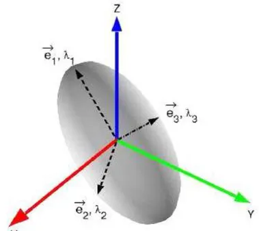 Şekil  9:  Difüzyon  tensör  elipsoidinin  şematik  görünümü:  eigen  değerler  elipsoidin 