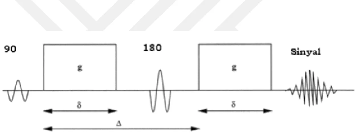 Şekil 10: Difüzyon ağırlıklı spin eko sekansının şeması (Stejskal–Taner sekansı (79))