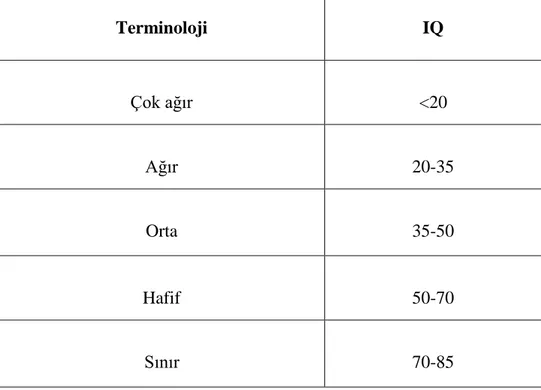 Tablo 2.6. Mental Retardasyonun IQ Değerlerine Göre Sınıflandırılması (126) 