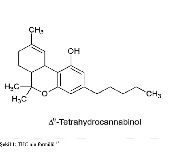 Şekil 1: THC nin formülü  13